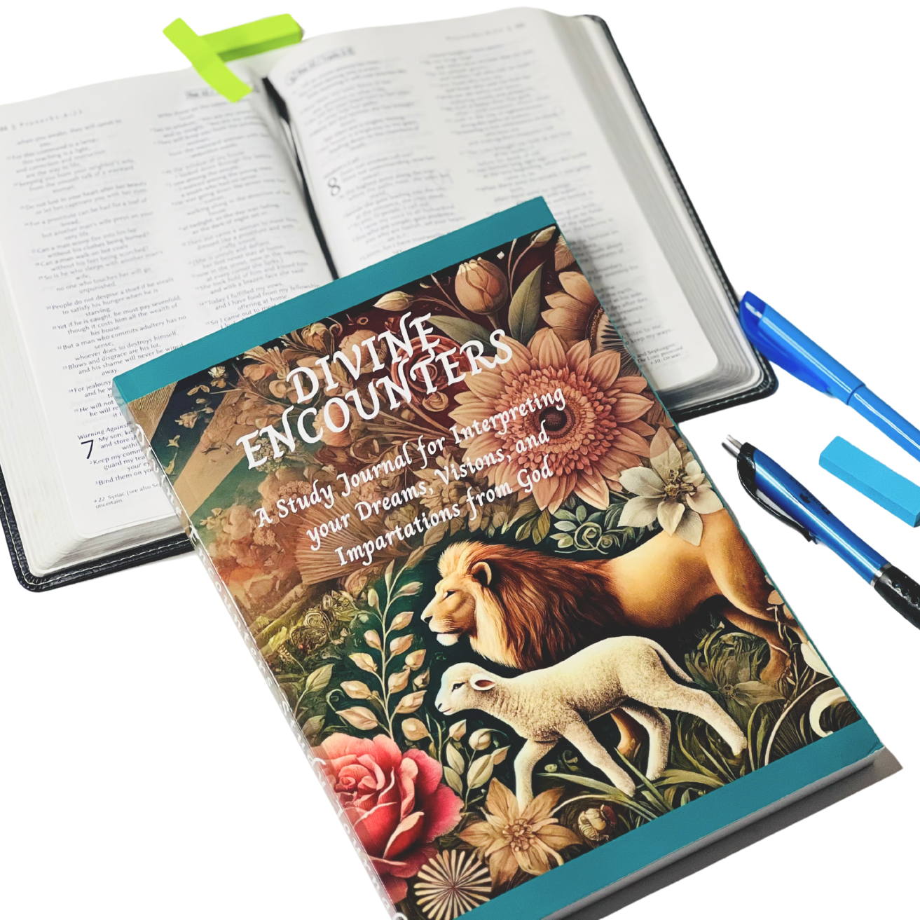 Divine Encounters - Dreams, Visions and Impartations from God Study Journal