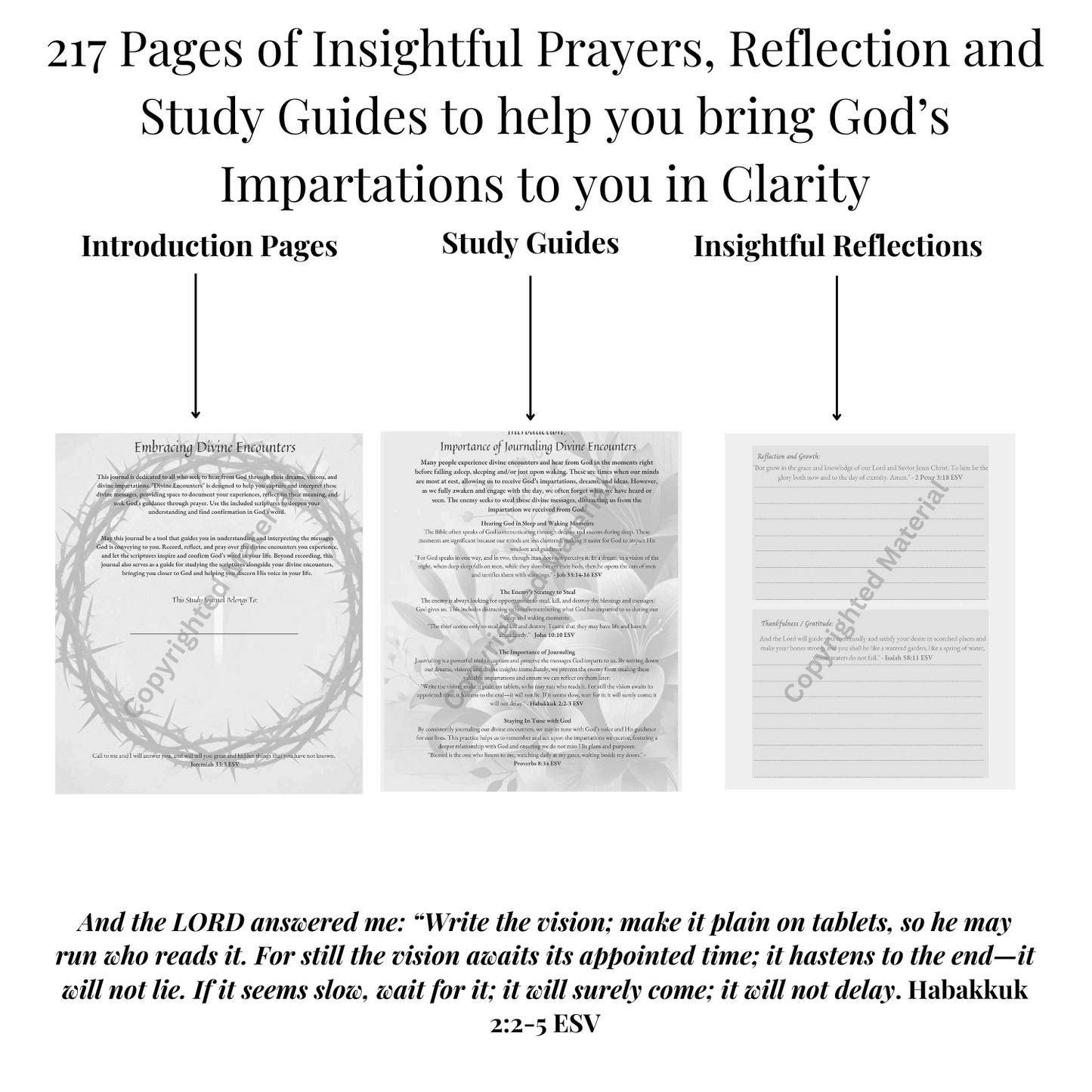 Divine Encounters - Dreams, Visions and Impartations from God Study Journal